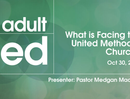What is Facing the United Methodist Church?